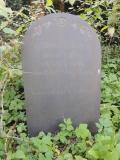 image number EBD 116